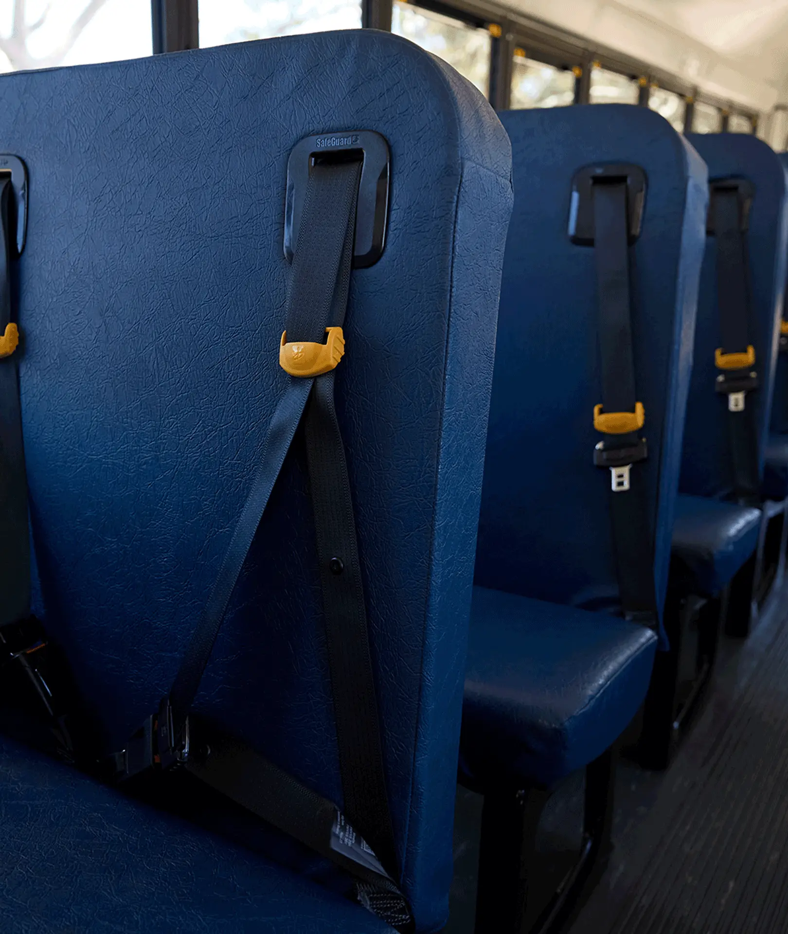 School bus seats with shoulder belts