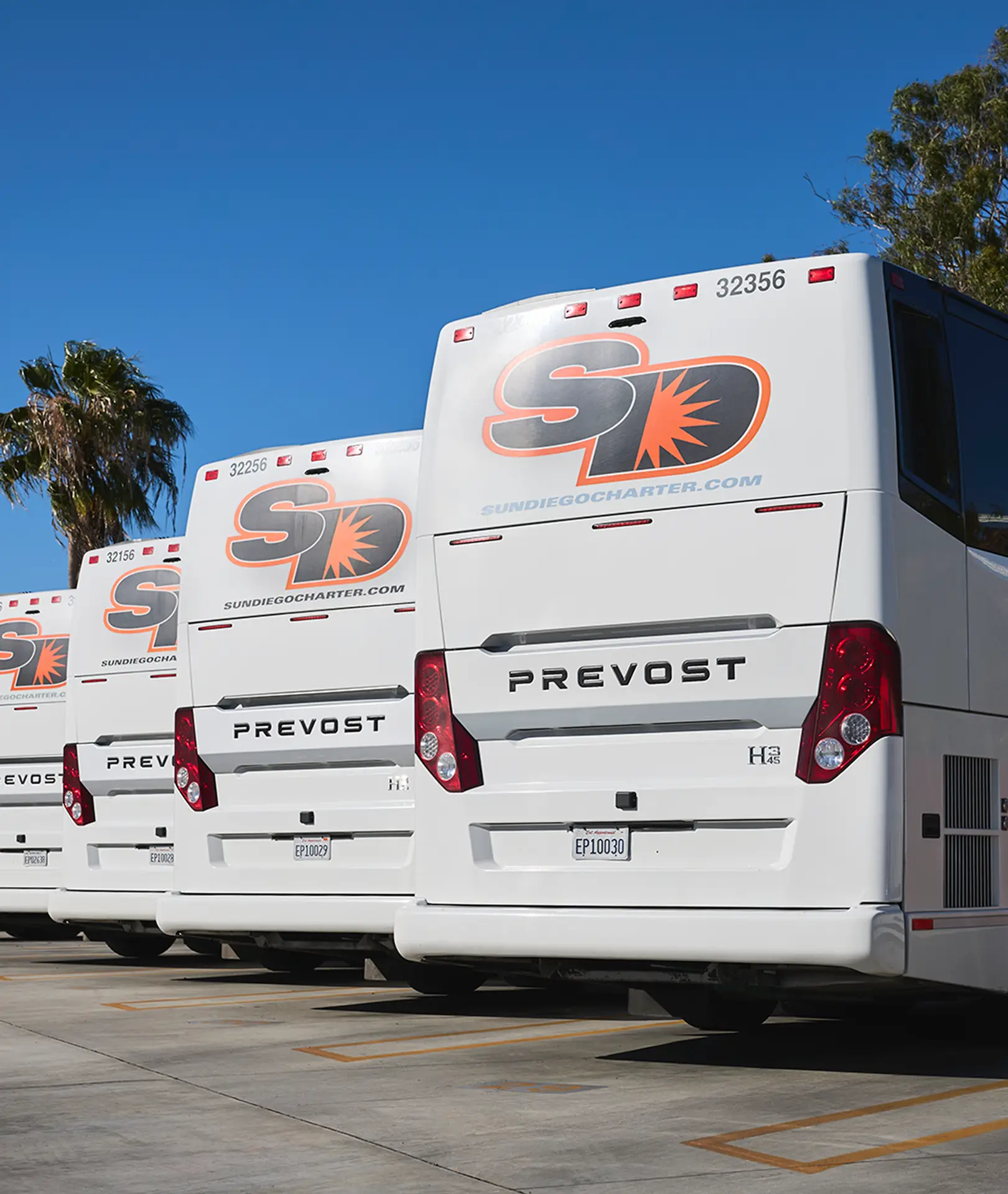 Rear view of a row of parked Sun Diego Charter motorcoaches