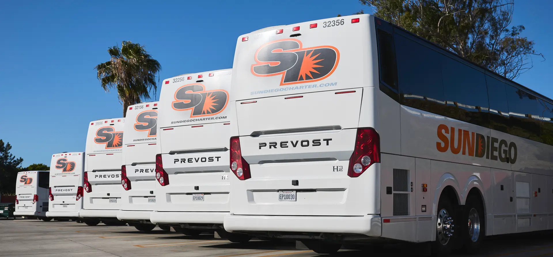 Rear view of a row of parked Sun Diego Charter motorcoaches