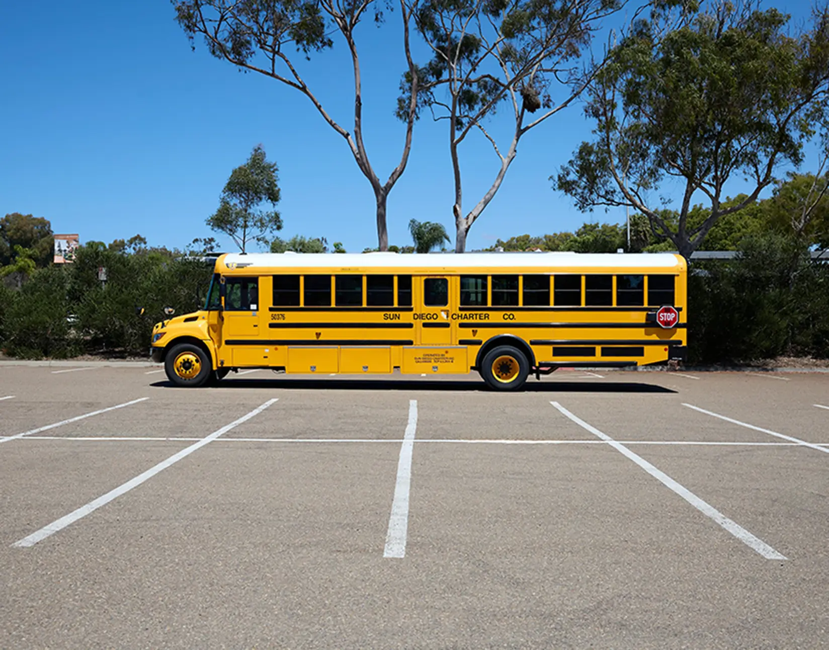 Yellow Sun Diego Charter school bus parked beneath trees