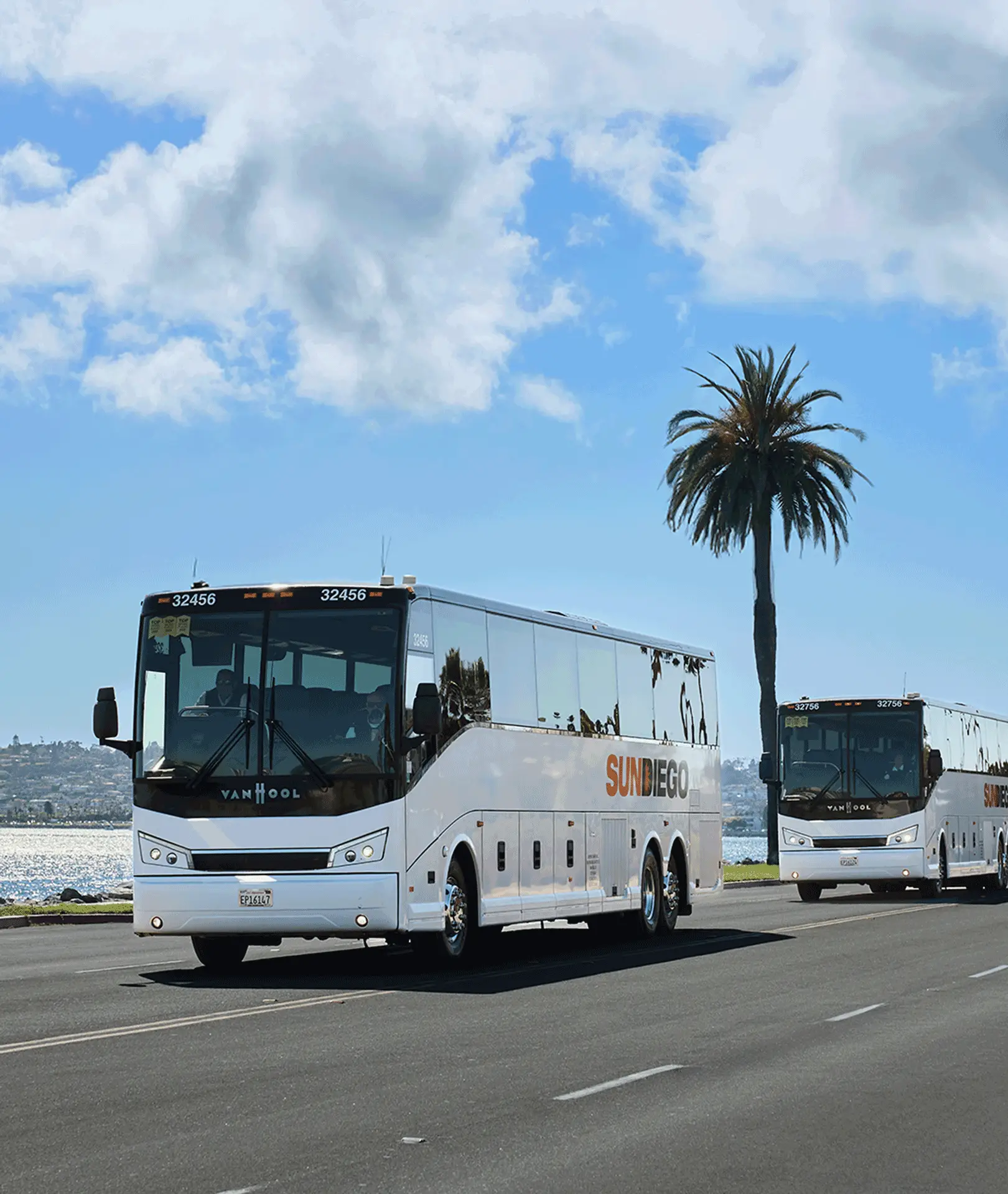 Two Sun Diego Charter motorcoaches traveling beside a palm tree