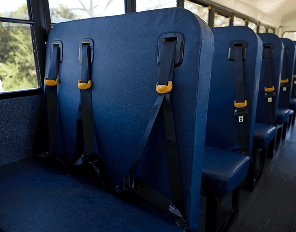 School bus seats with shoulder belts