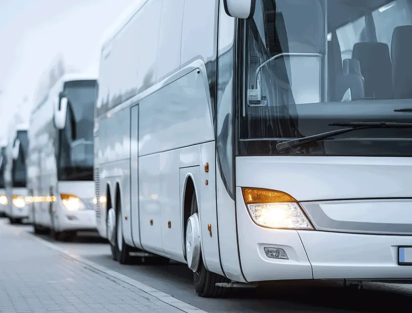 Line of silver motorcoaches parked at a curb
