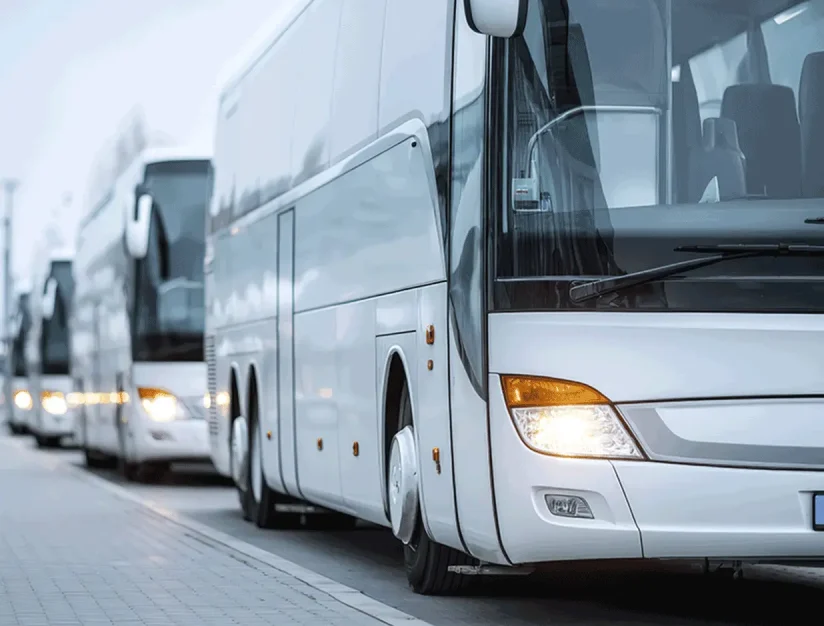 Line of silver motorcoaches parked at a curb